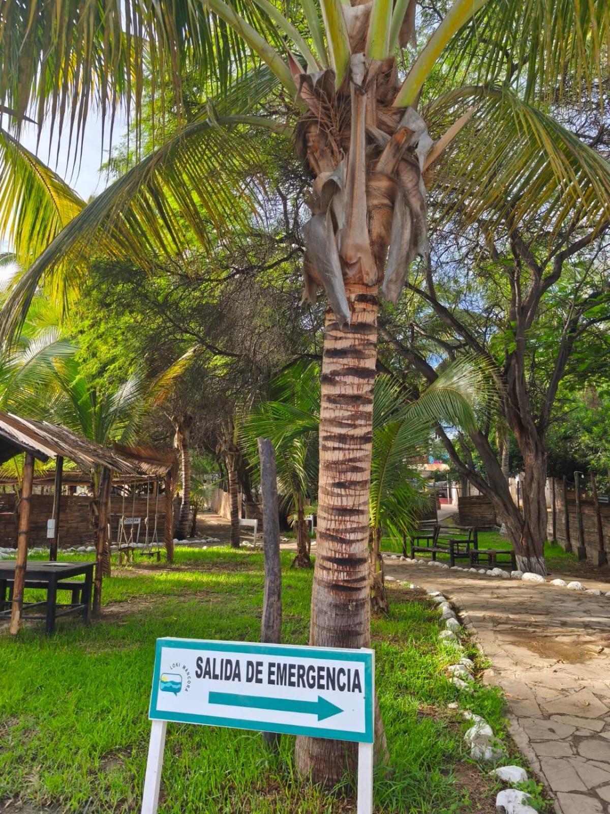 Hostel Loki Del Mar Máncora Exteriér fotografie